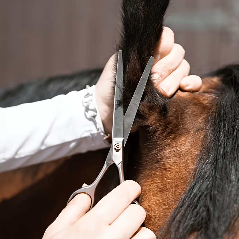 Horse Grooming Tool Set Stainl - đánh giá và giá Grooming Kit Horse