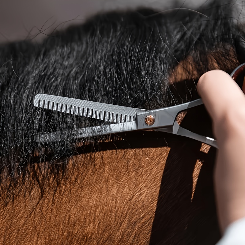 Horse Grooming Tool Set Stainl - đánh giá và giá Grooming Kit Horse