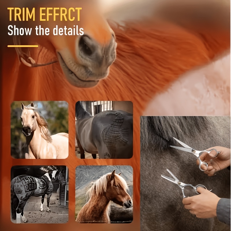 Horse Grooming Tool Set Stainl - đánh giá và giá Grooming Kit Horse