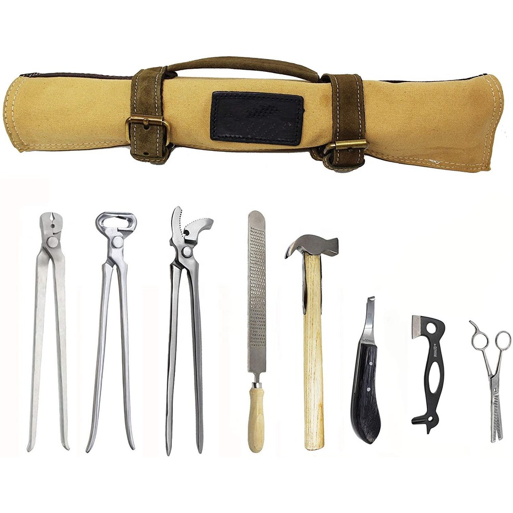 Professional Horseshoe Farrier - đánh giá và giá Grooming Kit Horse
