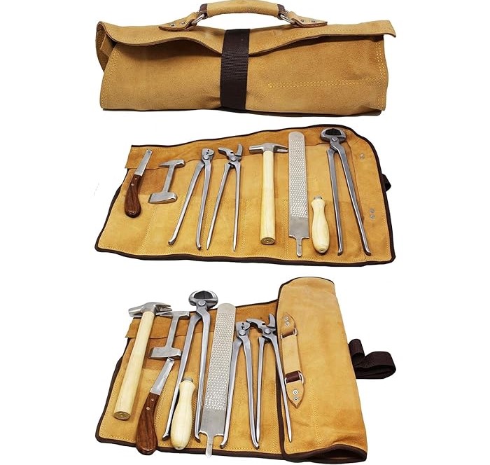 Professional Horseshoe Farrier - đánh giá và giá Grooming Kit Horse