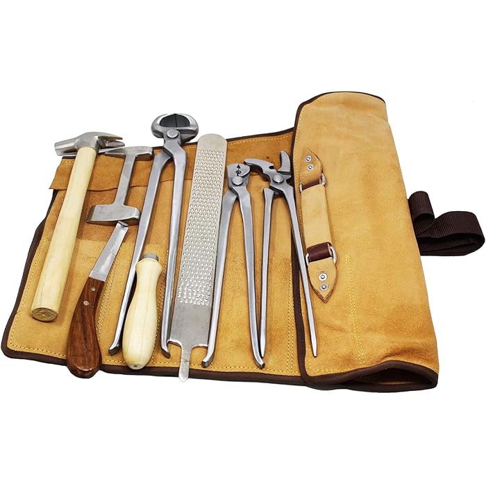 Professional Horseshoe Farrier - đánh giá và giá Grooming Kit Horse