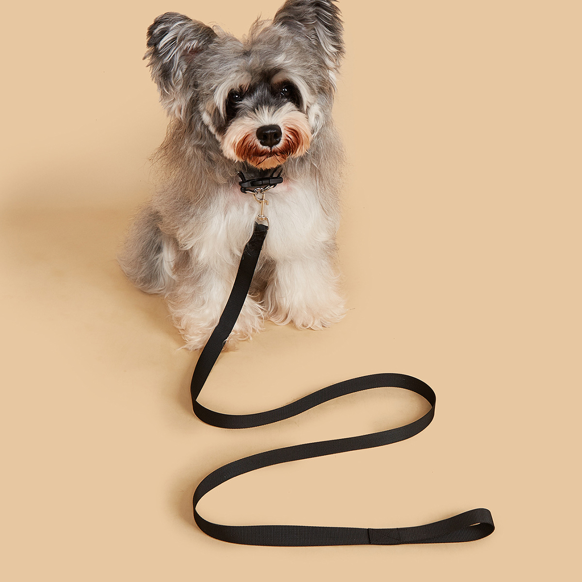 Pet Leash & Collar Set, Durabl - đánh giá và giá Headcollar Rope Set