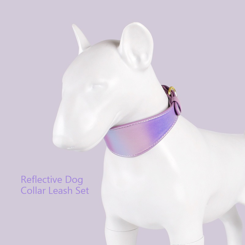 REFLECTIVE LEATHER DOG COLLAR  - đánh giá và giá Headcollar Rope Set