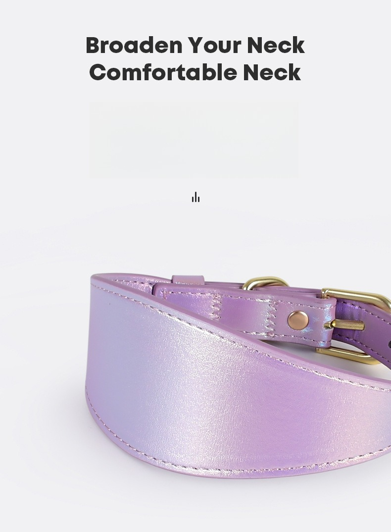 REFLECTIVE LEATHER DOG COLLAR  - đánh giá và giá Headcollar Rope Set