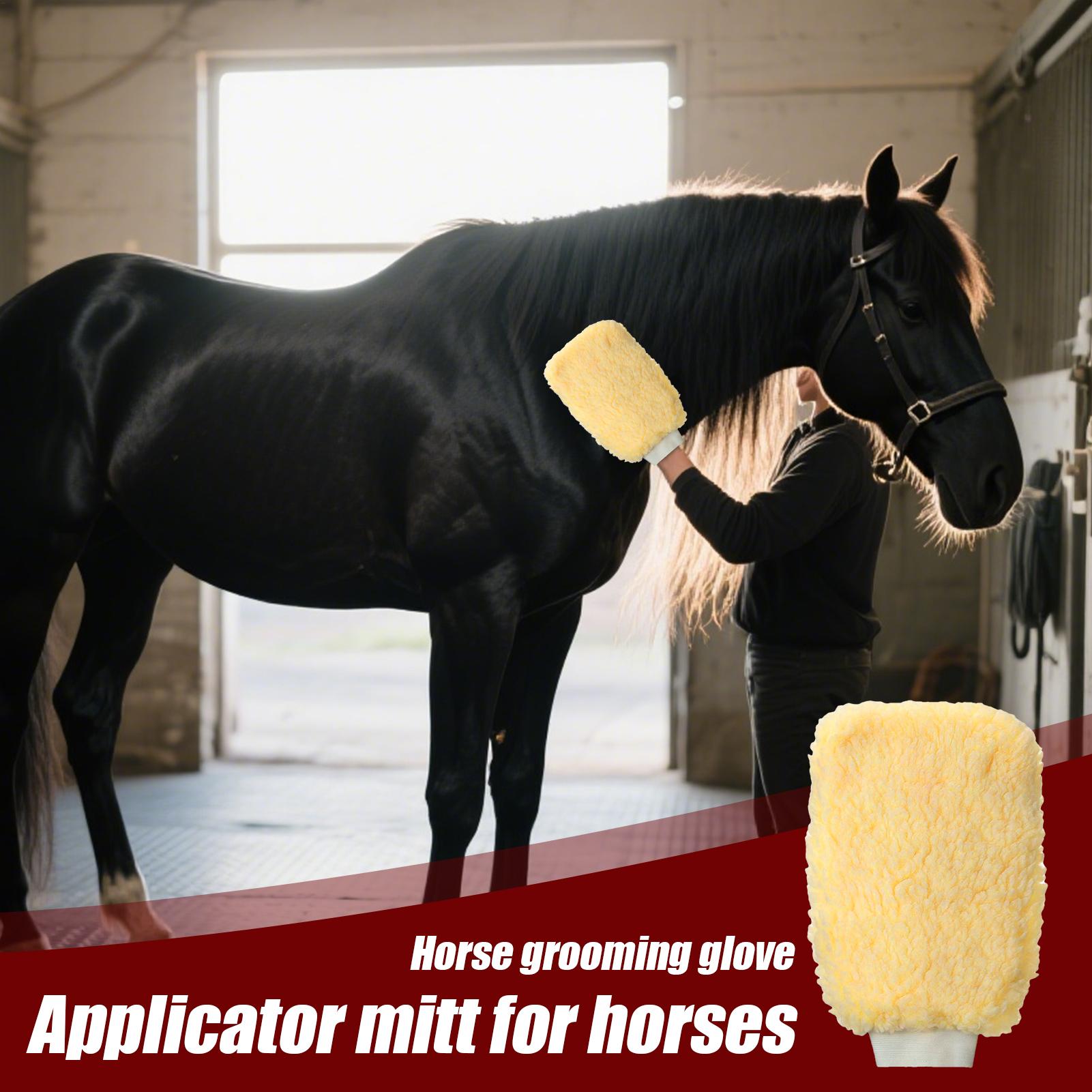 Tick Mitt Applicator Glove for - đánh giá và giá Grooming Kit Horse
