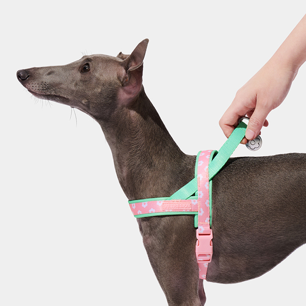 Luxury Pet Chest Strap Tractio - đánh giá và giá Headcollar Rope Set