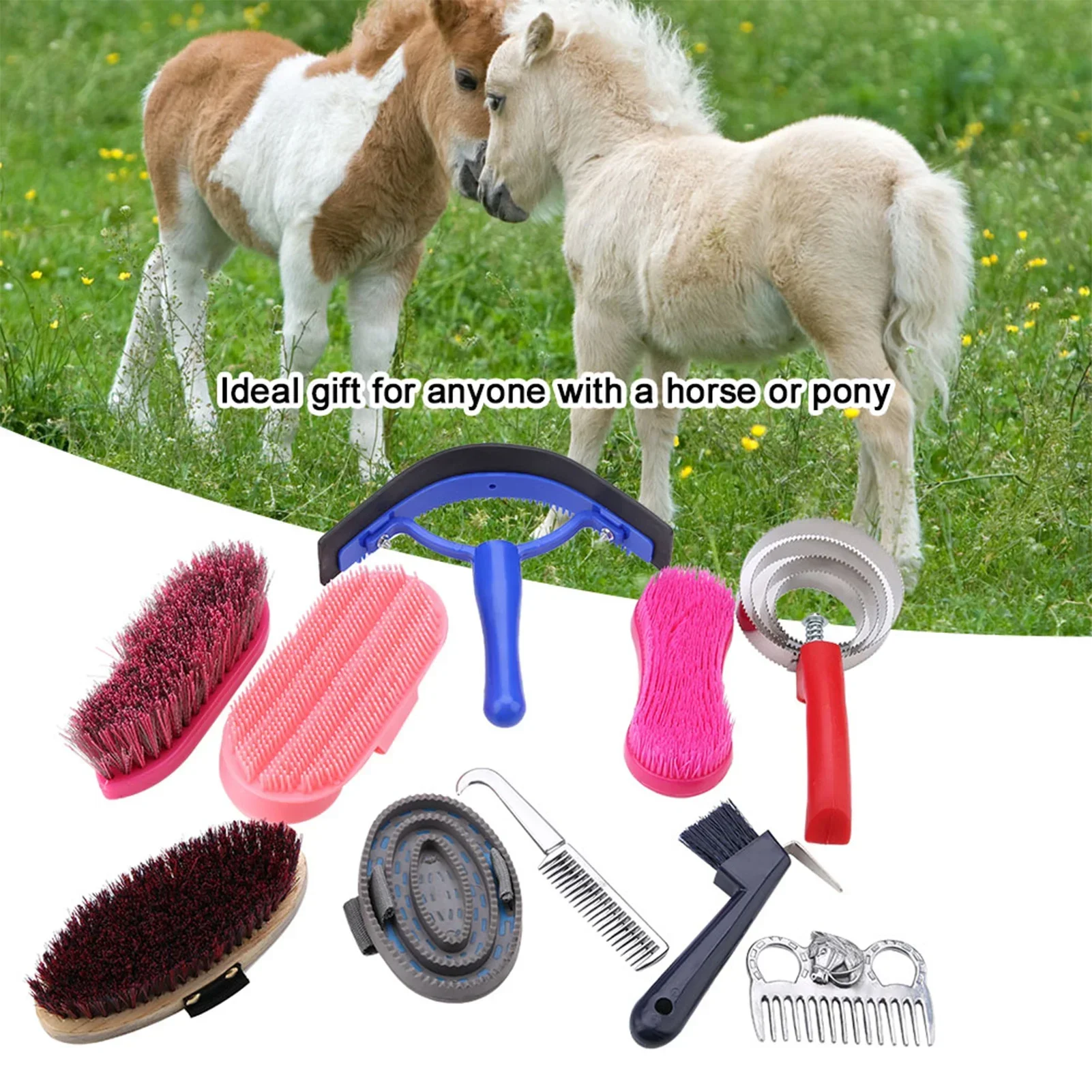 10Pcs Horse Grooming Care Kit  - đánh giá và giá Grooming Kit Horse