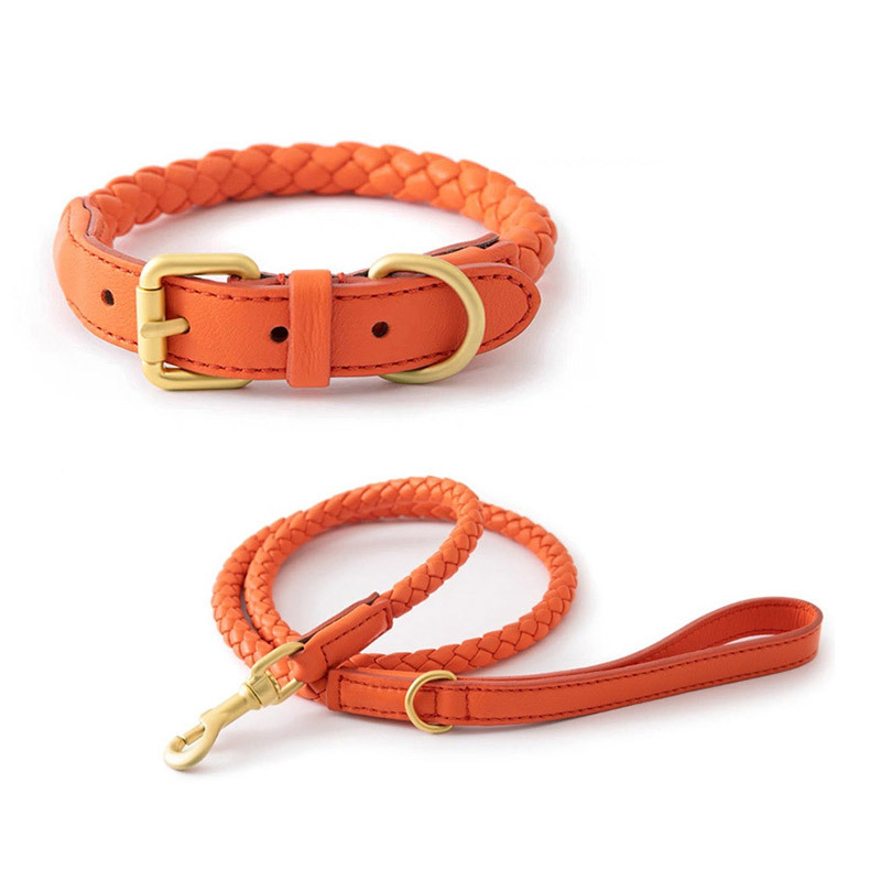Adjustable Braided Leather Pet - đánh giá và giá Headcollar Rope Set