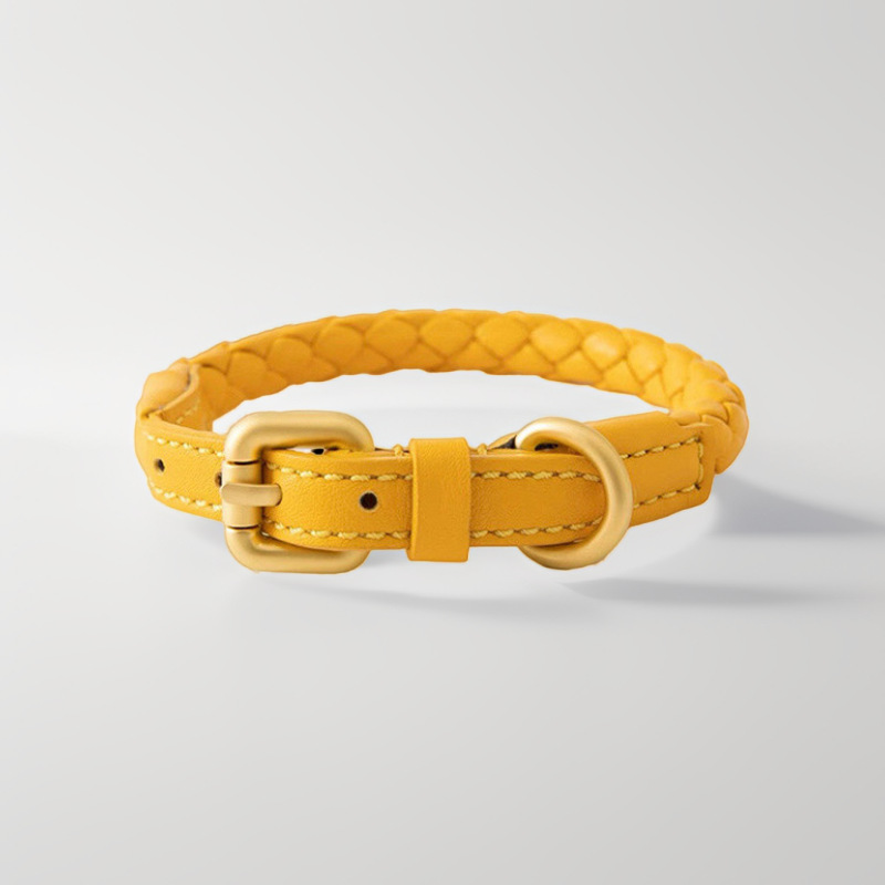 Adjustable Braided Leather Pet - đánh giá và giá Headcollar Rope Set