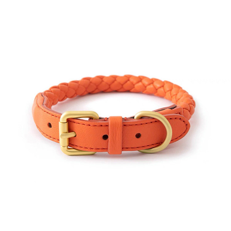 Adjustable Braided Leather Pet - đánh giá và giá Headcollar Rope Set